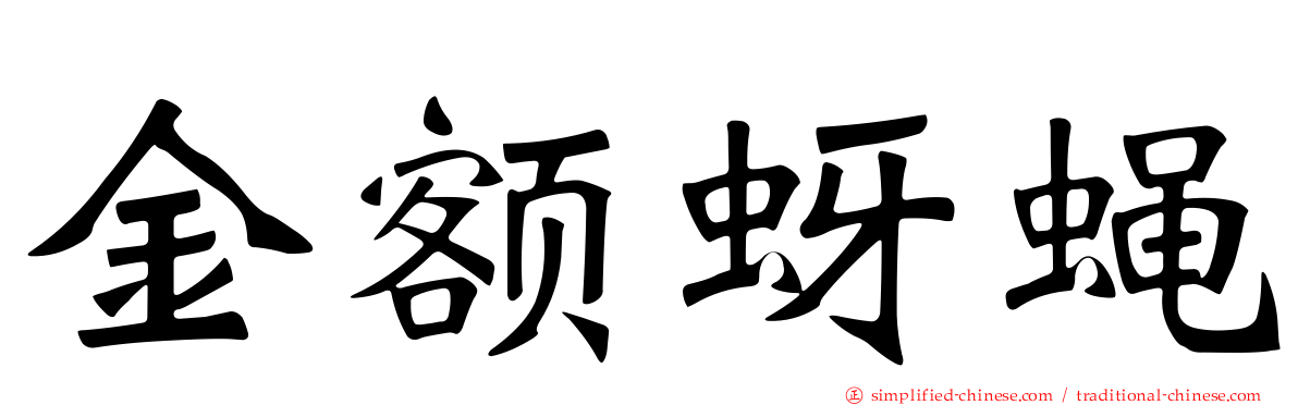 金额蚜蝇