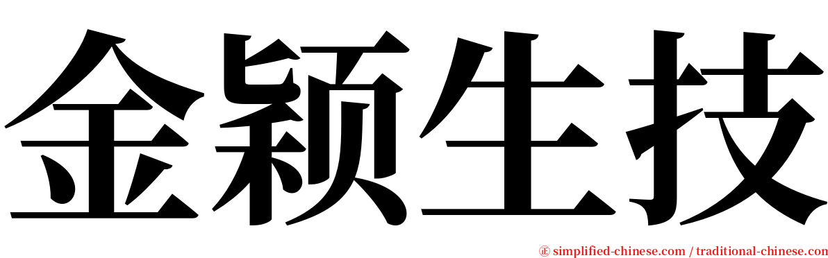 金颖生技 serif font