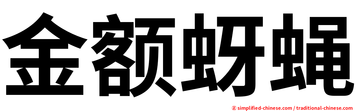 金额蚜蝇