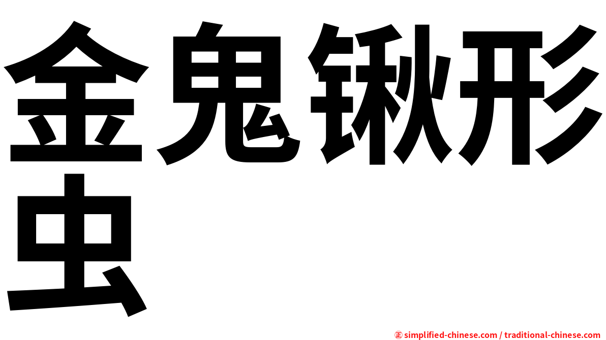 金鬼锹形虫