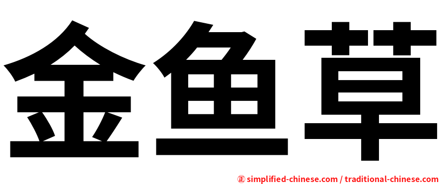 金鱼草