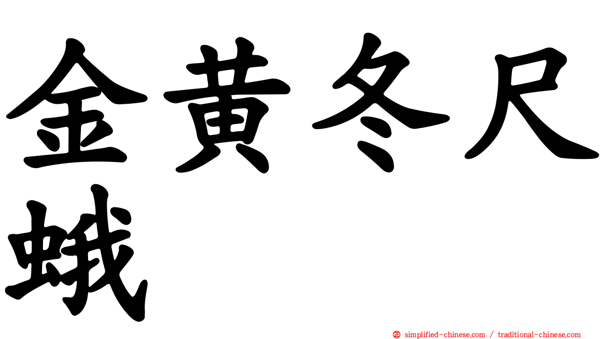 金黄冬尺蛾