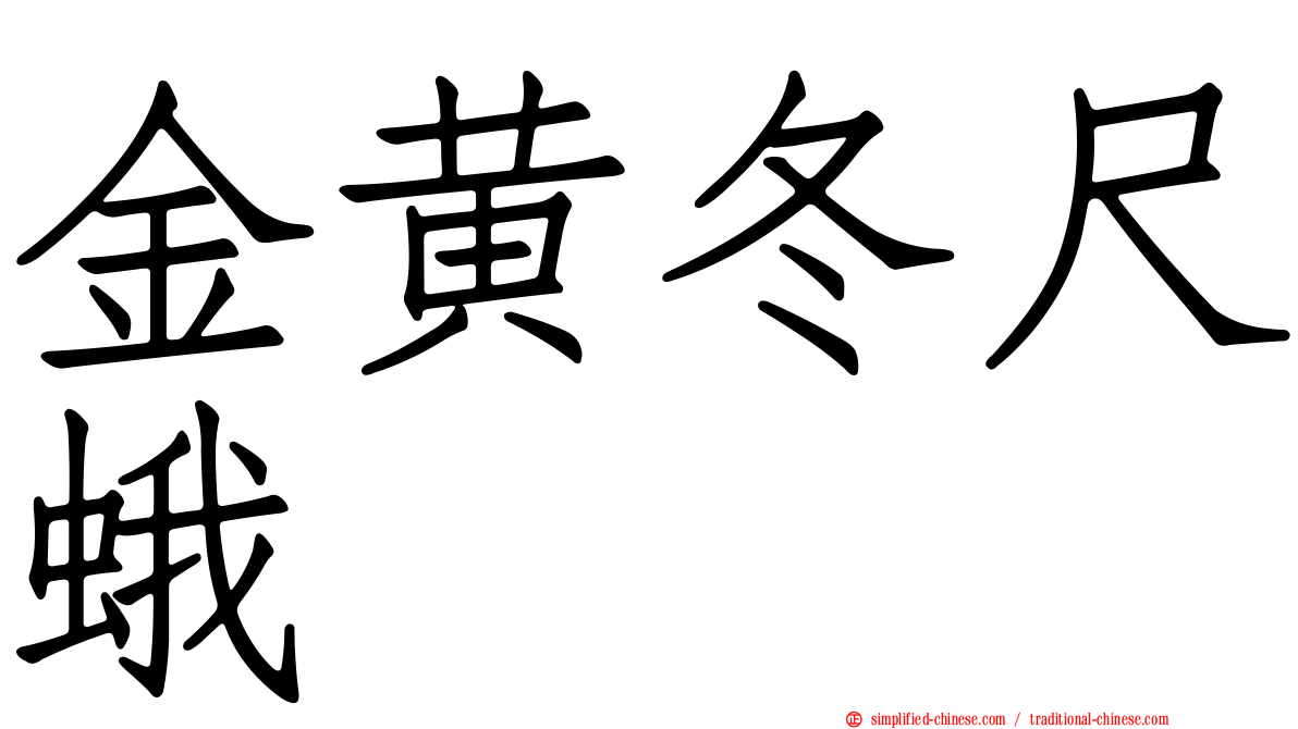 金黄冬尺蛾