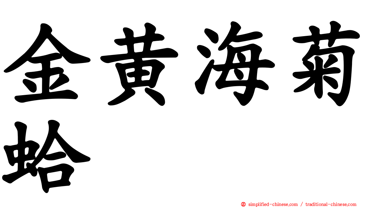 金黄海菊蛤