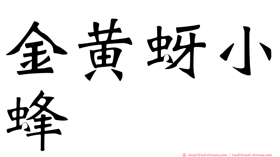 金黄蚜小蜂