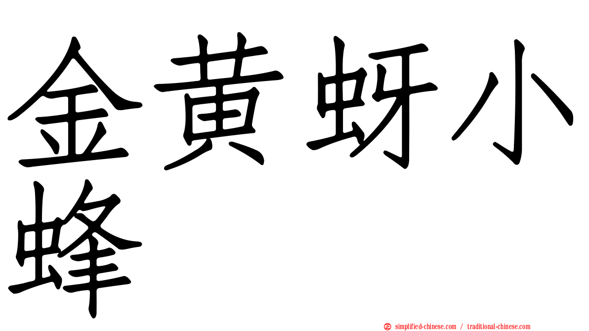 金黄蚜小蜂