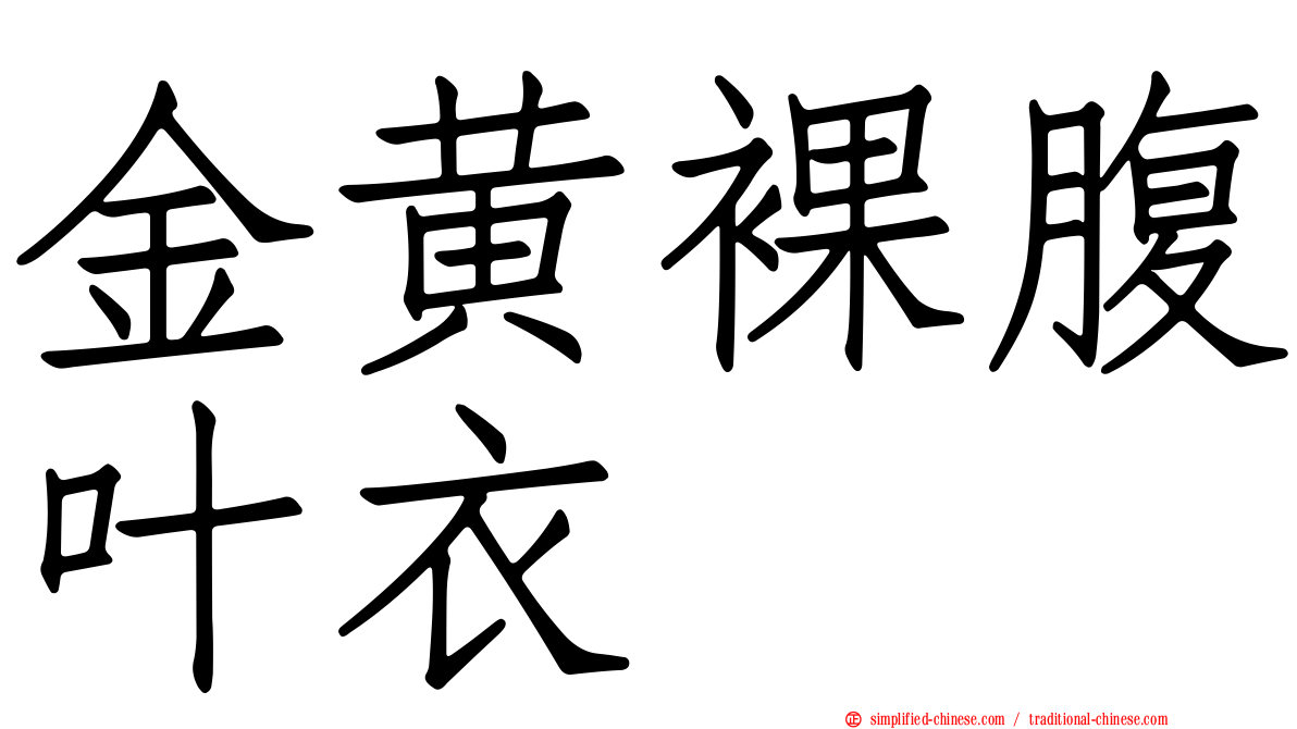 金黄裸腹叶衣