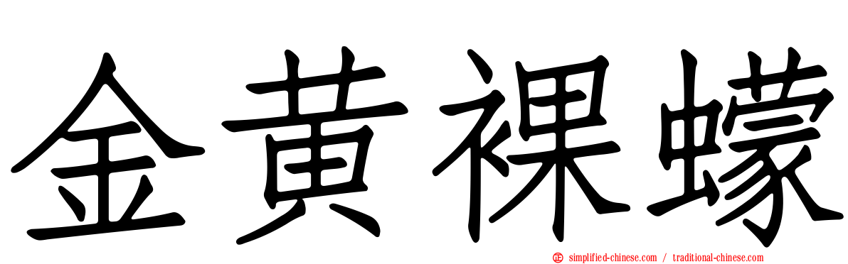 金黄裸蠓