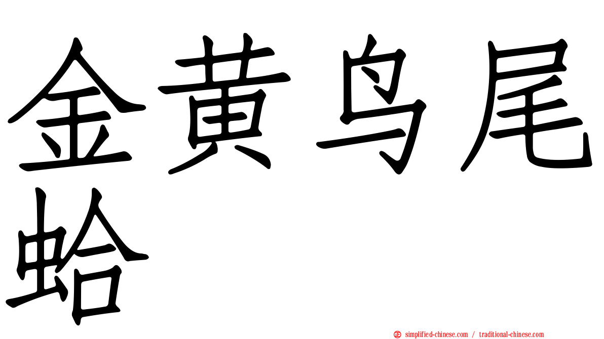 金黄鸟尾蛤