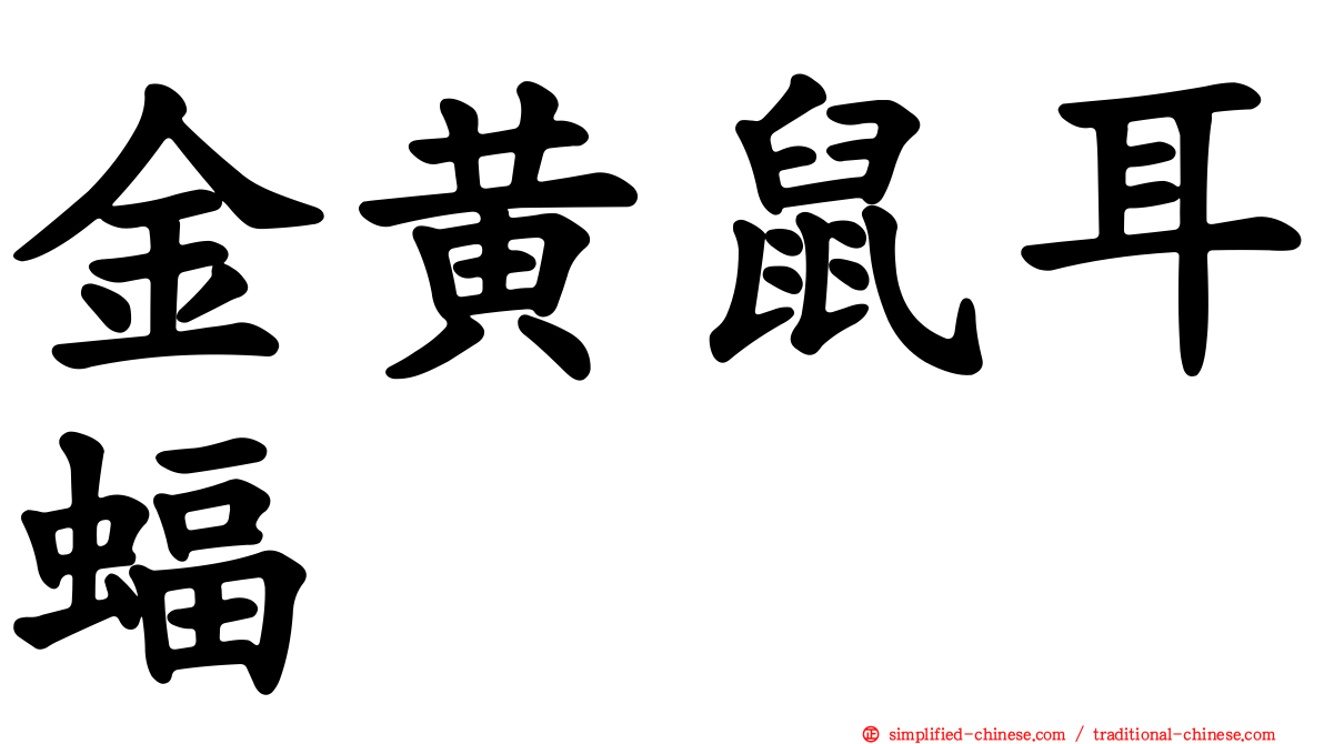 金黄鼠耳蝠