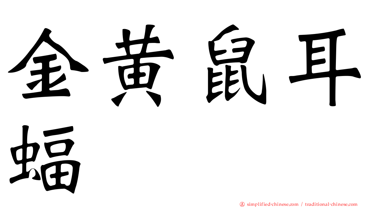 金黄鼠耳蝠