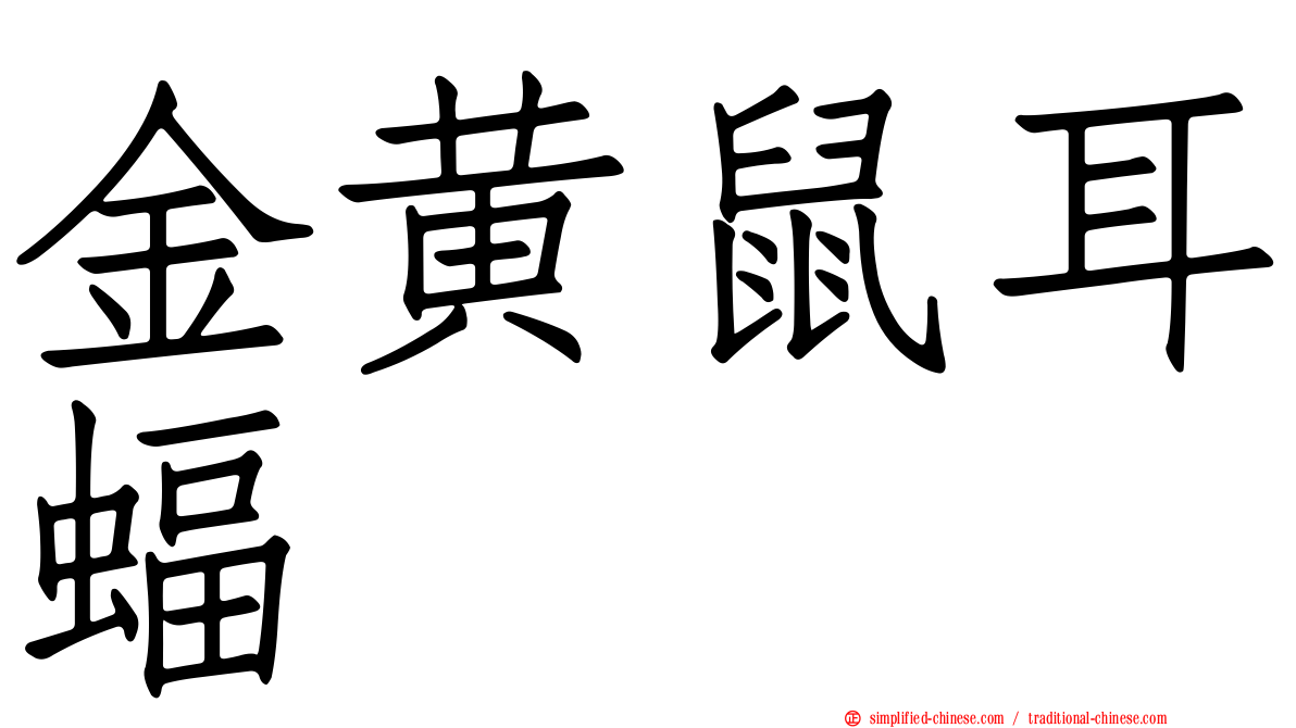 金黄鼠耳蝠
