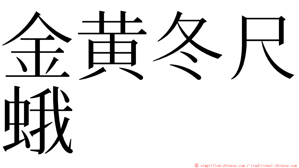金黄冬尺蛾 ming font