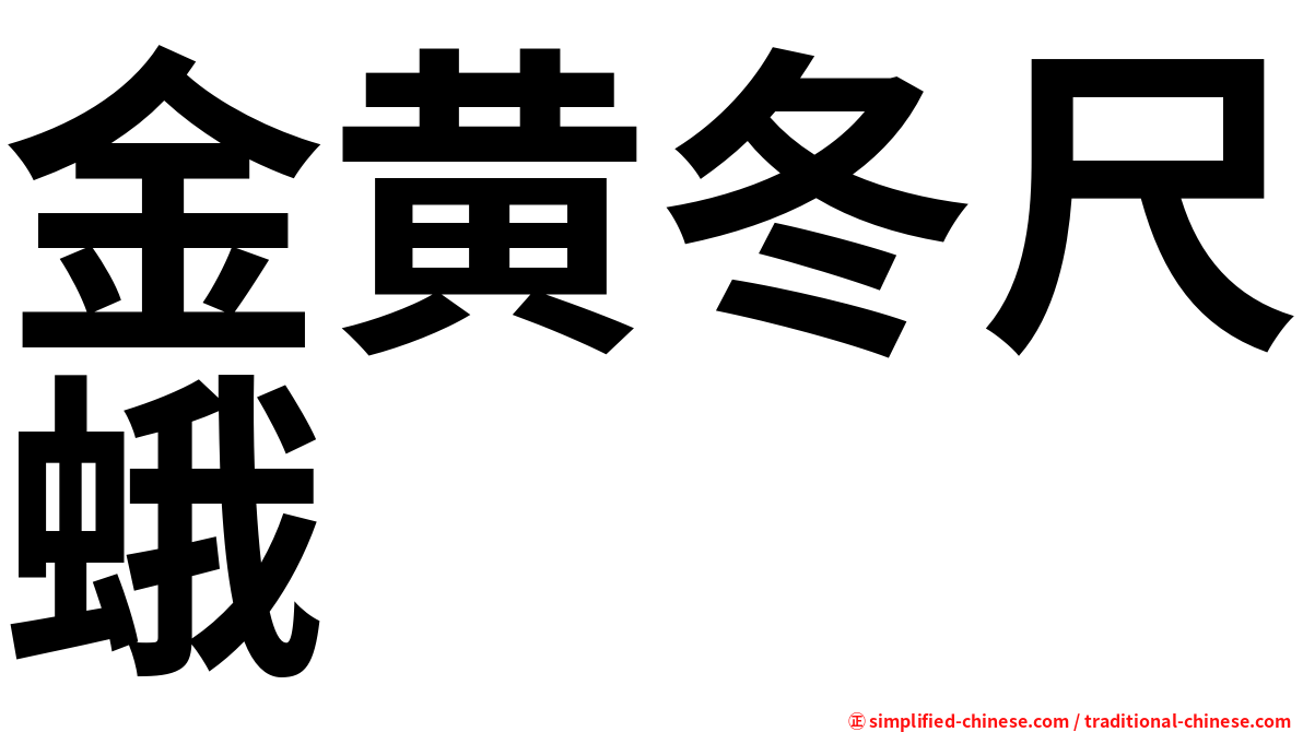 金黄冬尺蛾