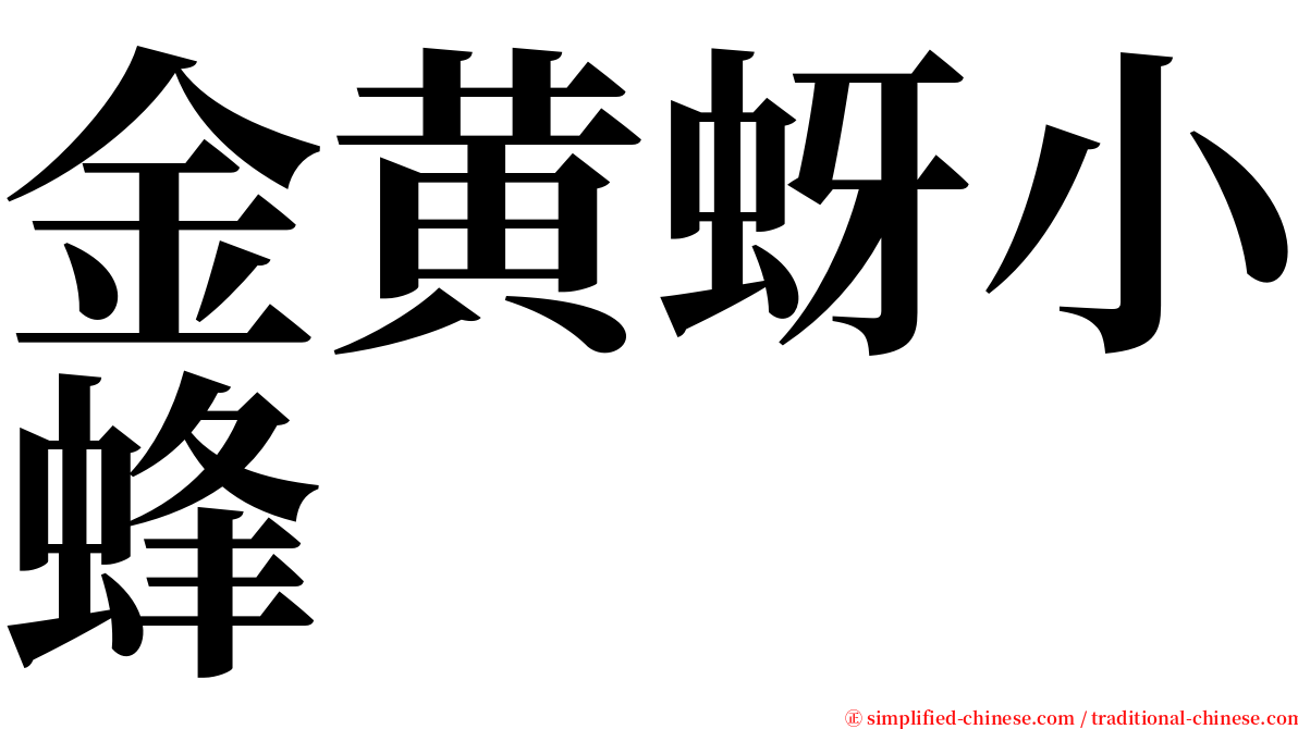 金黄蚜小蜂 serif font