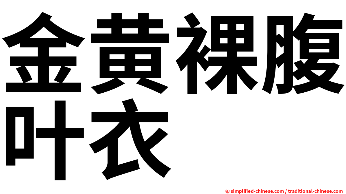 金黄裸腹叶衣