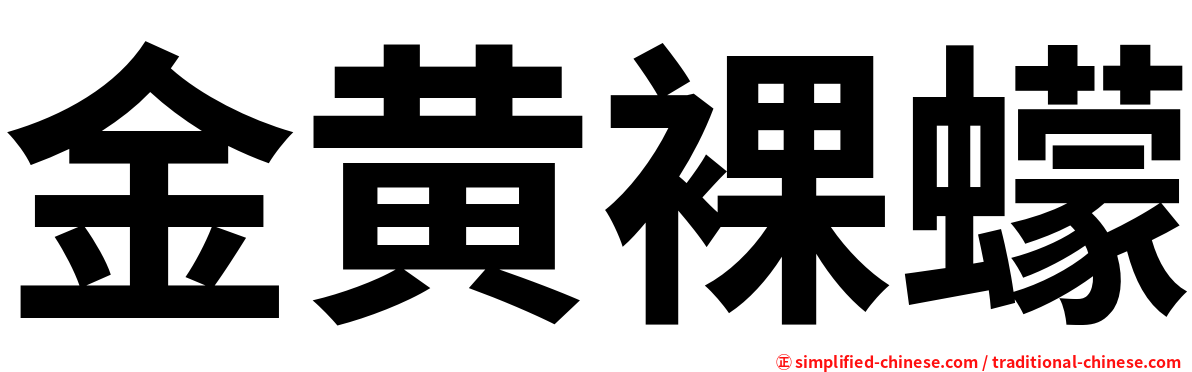 金黄裸蠓