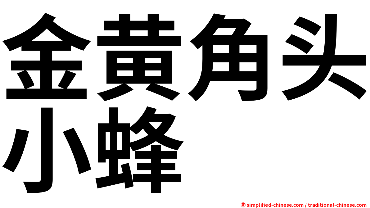 金黄角头小蜂