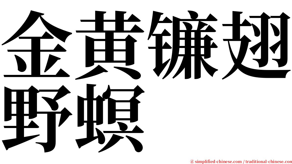 金黄镰翅野螟 serif font