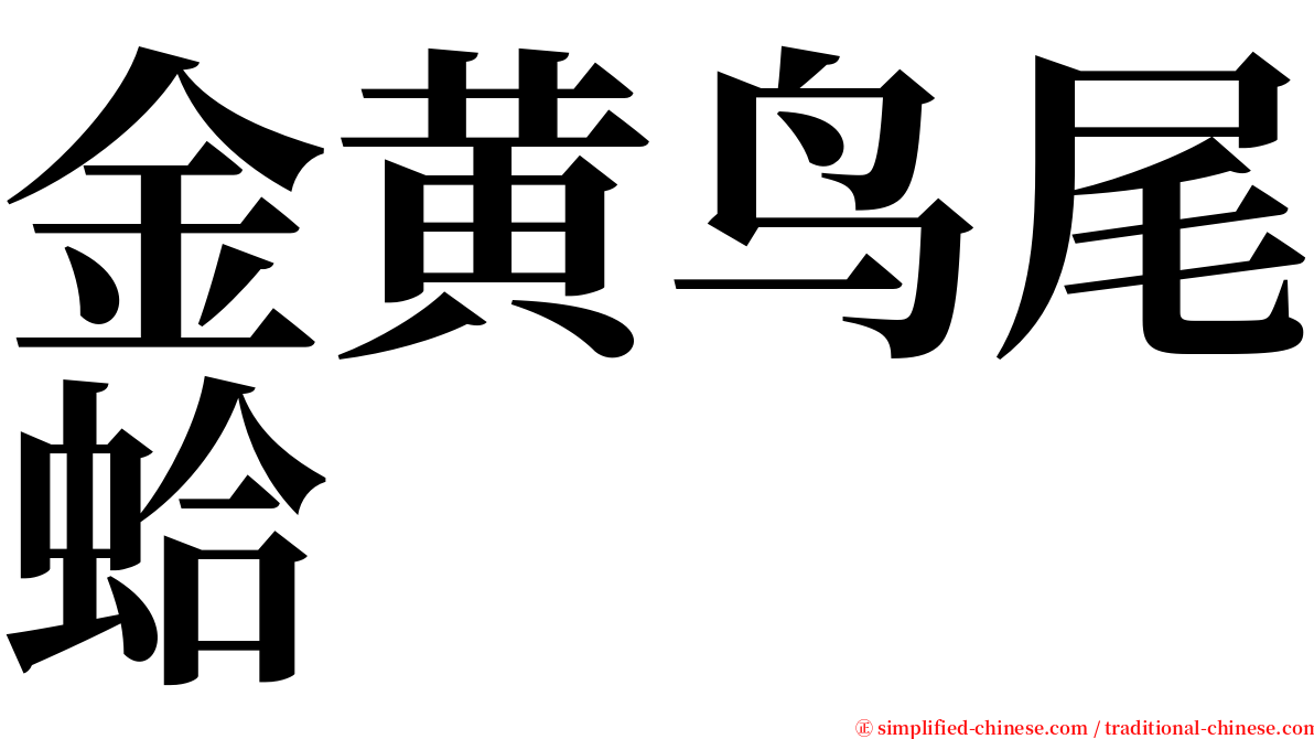 金黄鸟尾蛤 serif font