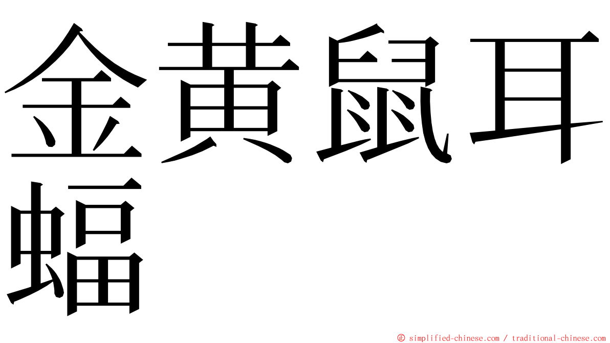 金黄鼠耳蝠 ming font
