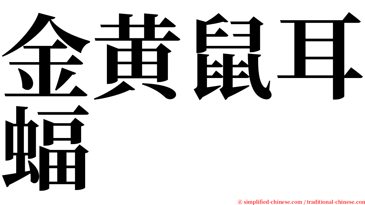 金黄鼠耳蝠 serif font