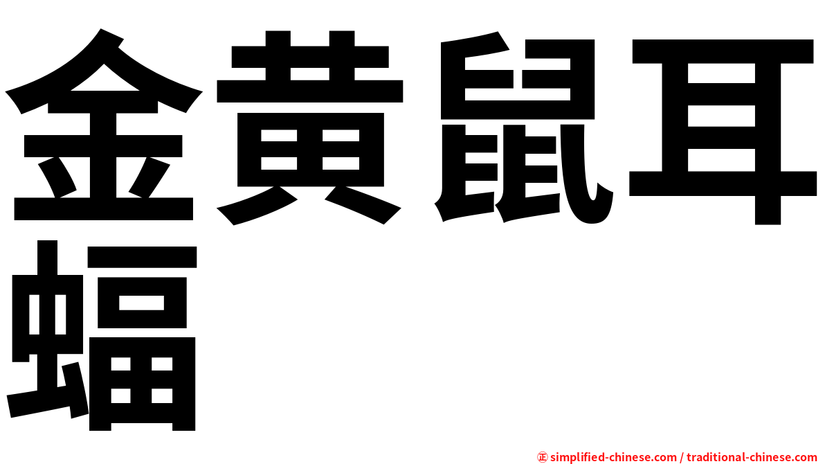 金黄鼠耳蝠