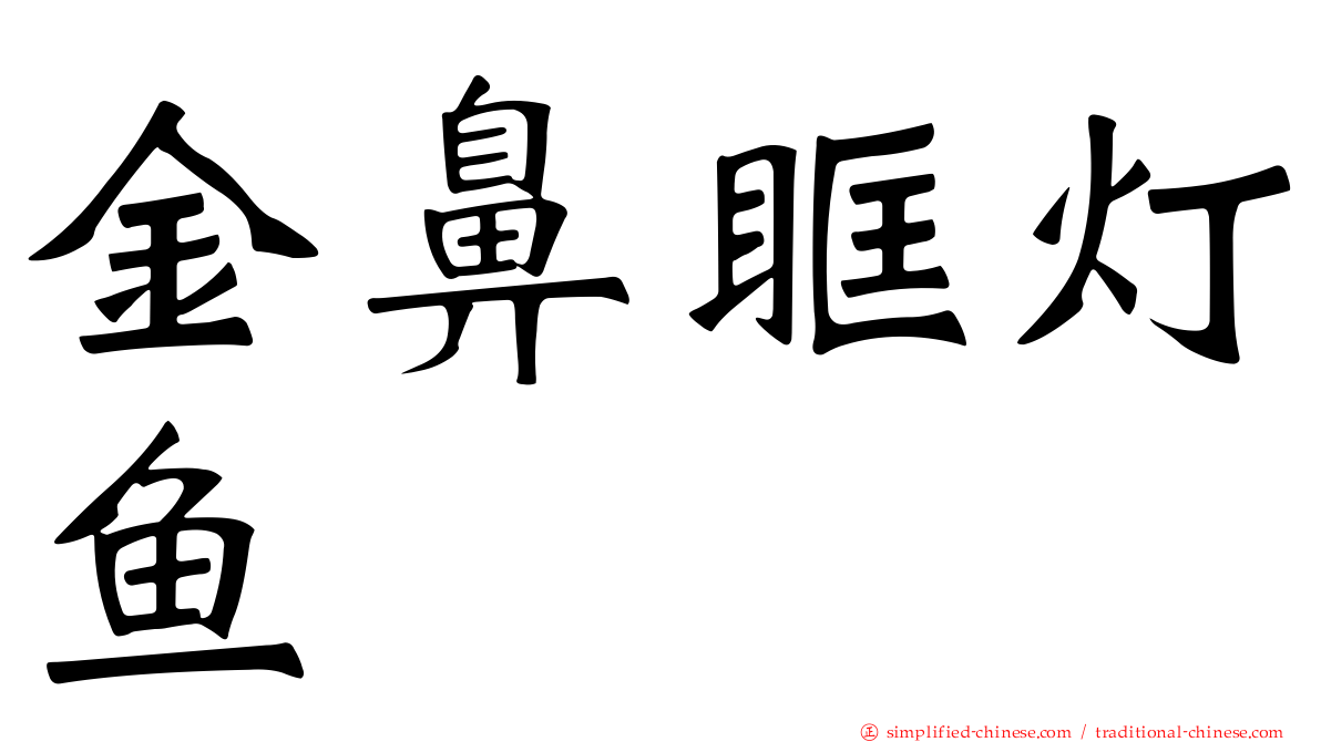 金鼻眶灯鱼