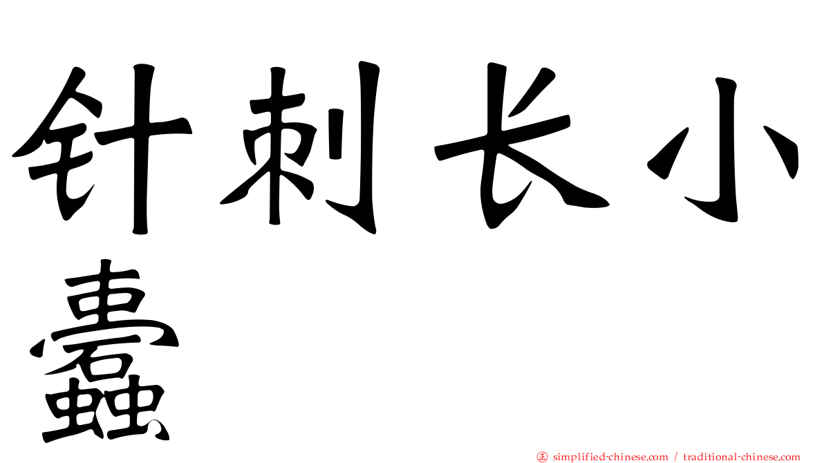 针刺长小蠹