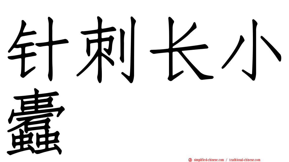 针刺长小蠹
