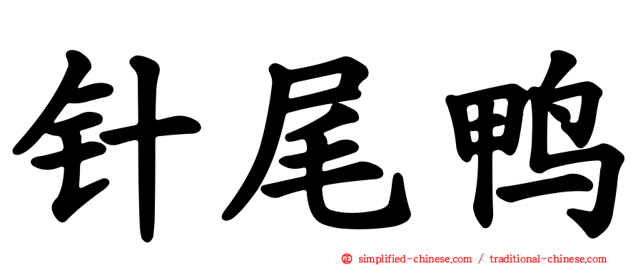 针尾鸭