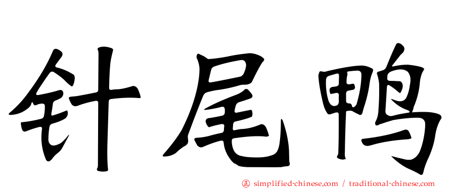 针尾鸭