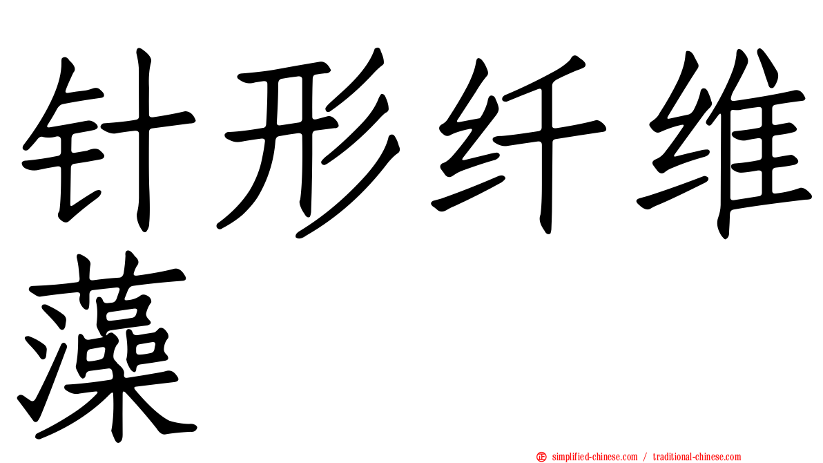 针形纤维藻