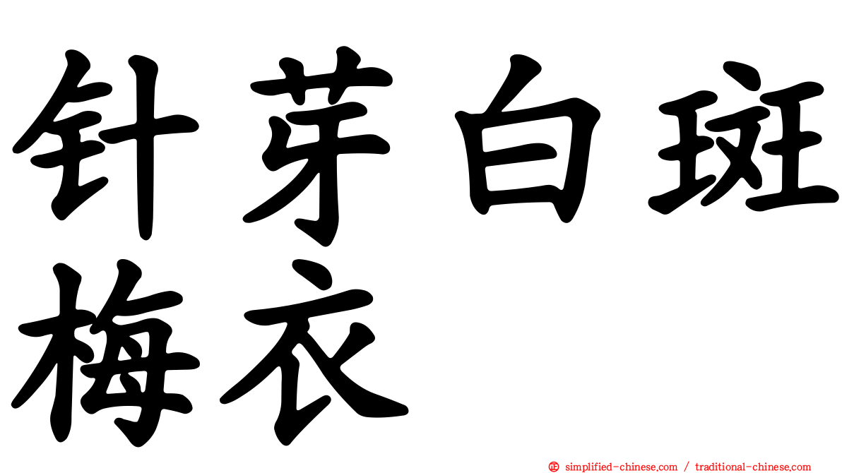 针芽白斑梅衣