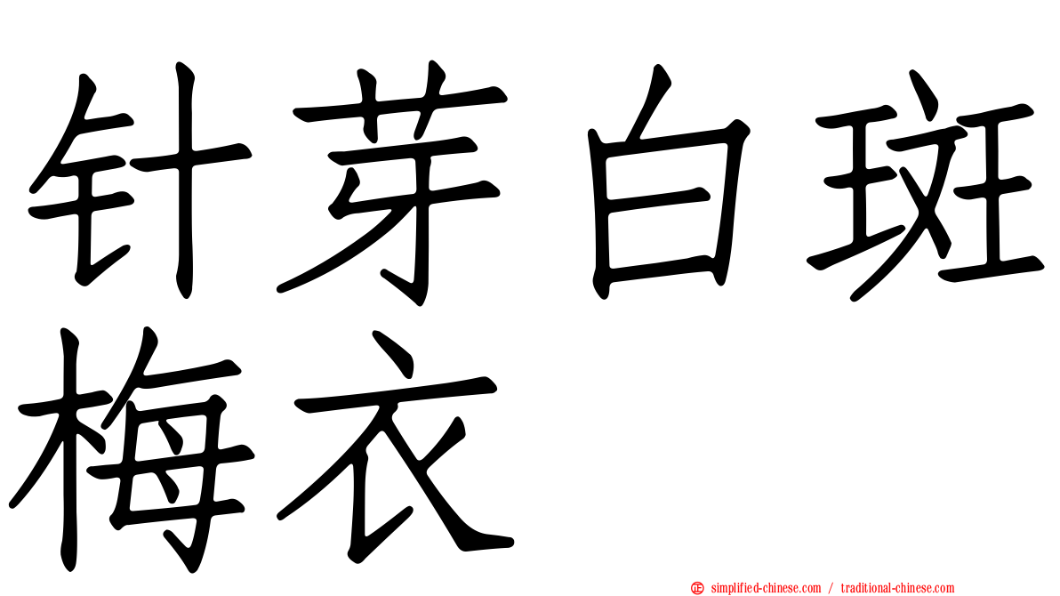 针芽白斑梅衣
