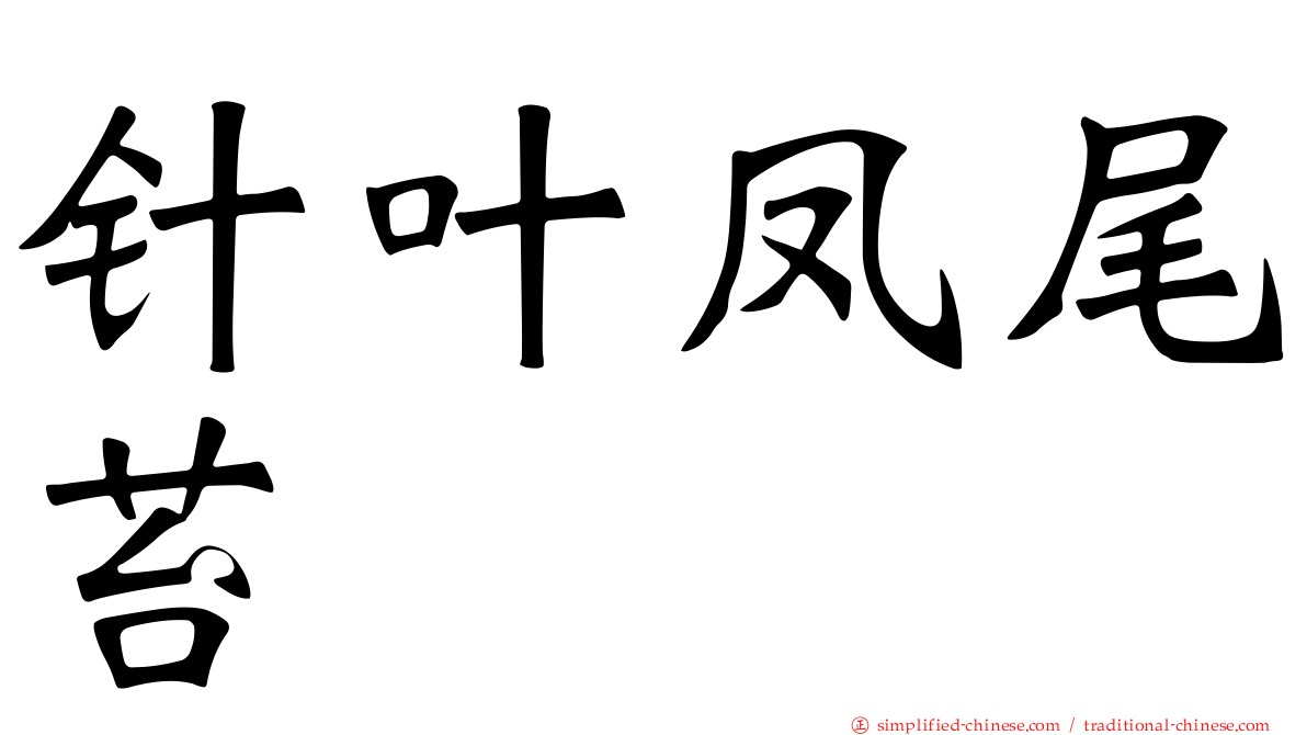针叶凤尾苔