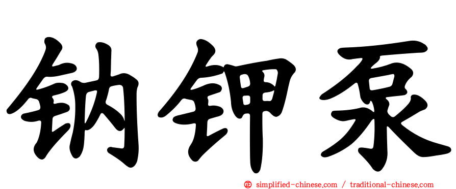 钠钾泵