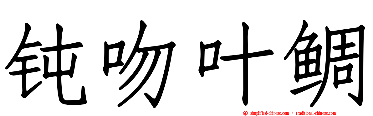 钝吻叶鲷