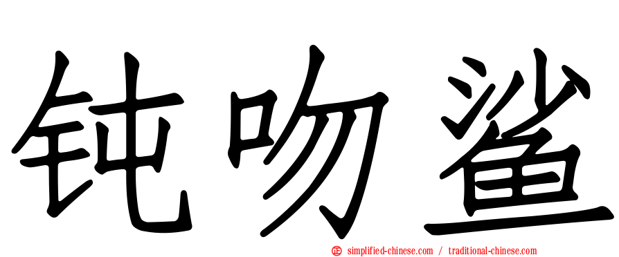 钝吻鲨