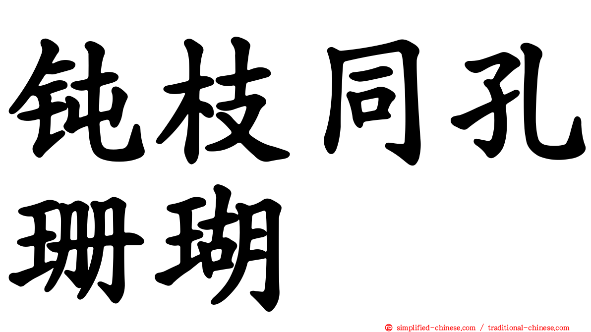 钝枝同孔珊瑚