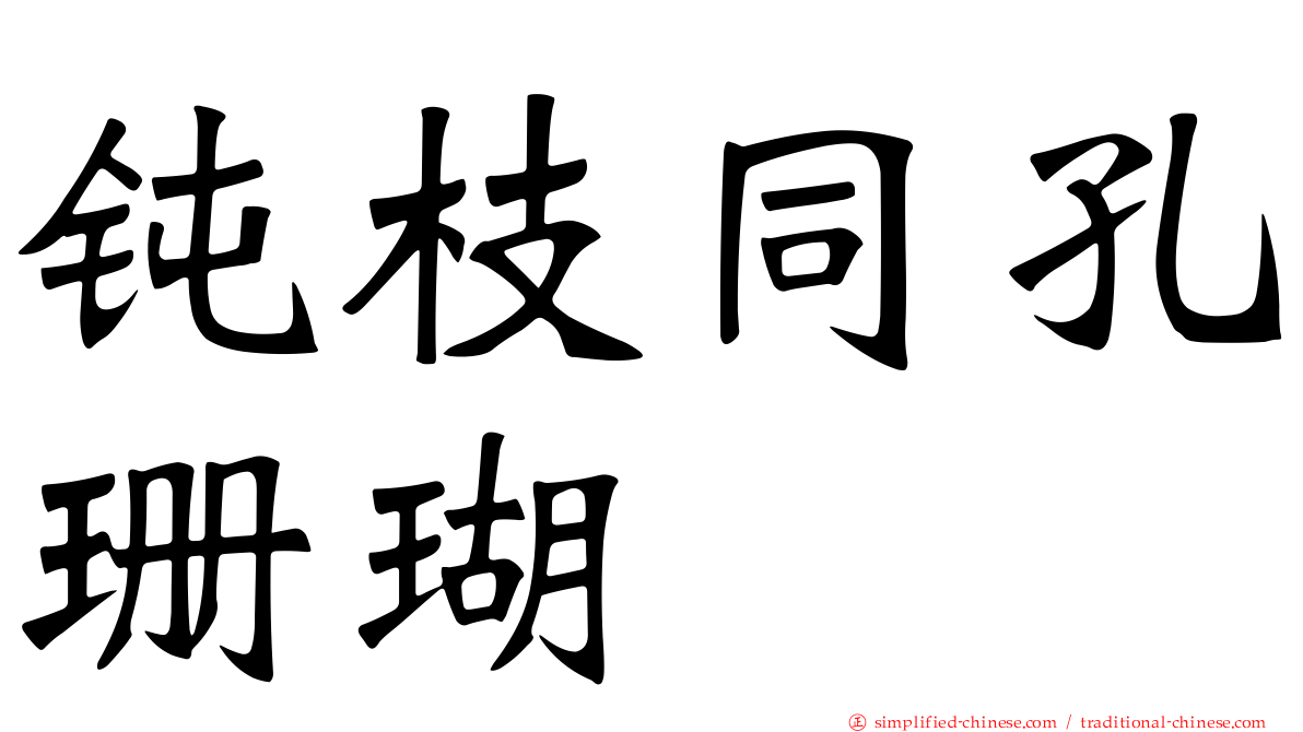 钝枝同孔珊瑚