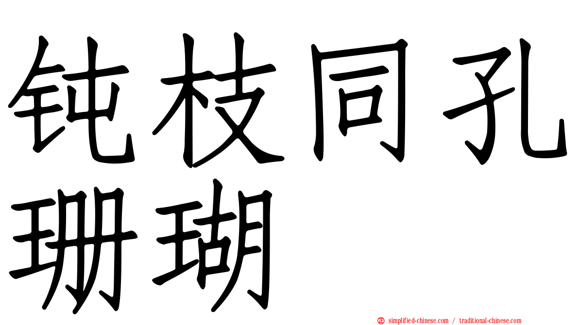 钝枝同孔珊瑚