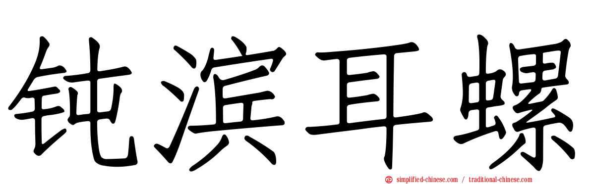 钝滨耳螺