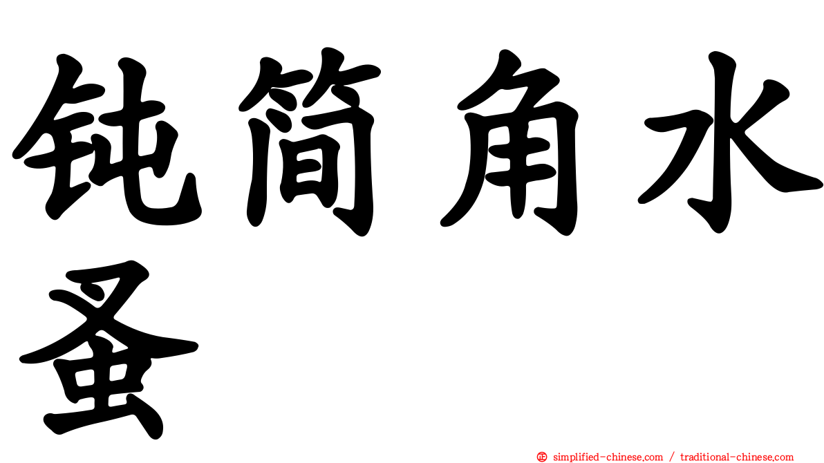 钝简角水蚤