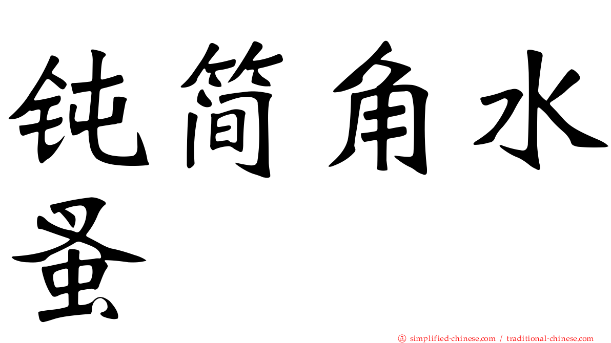 钝简角水蚤