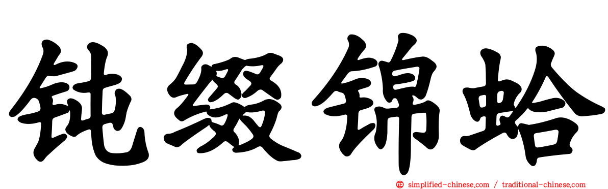 钝缀锦蛤