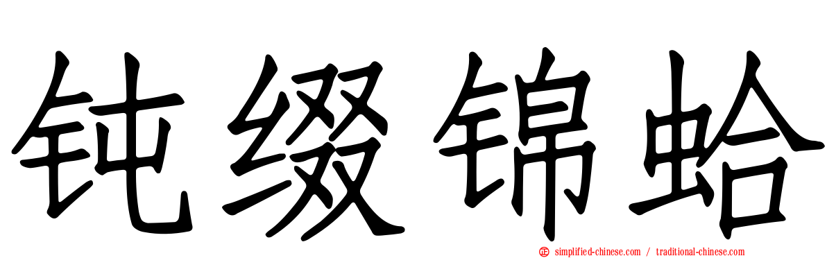 钝缀锦蛤