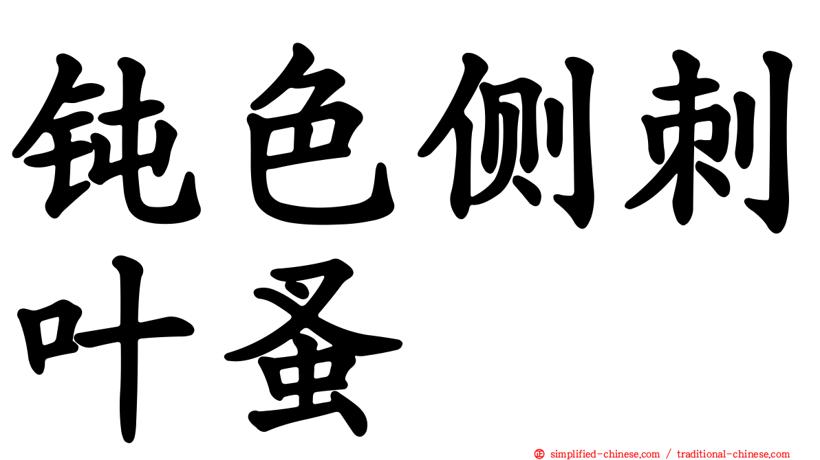 钝色侧刺叶蚤