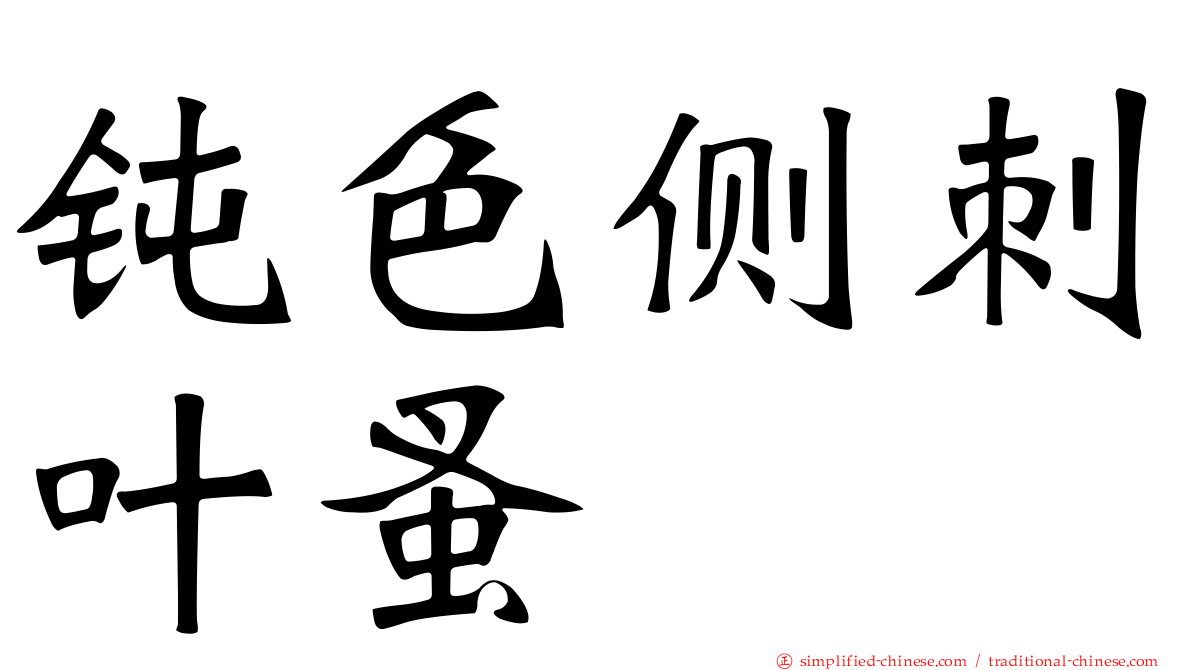钝色侧刺叶蚤