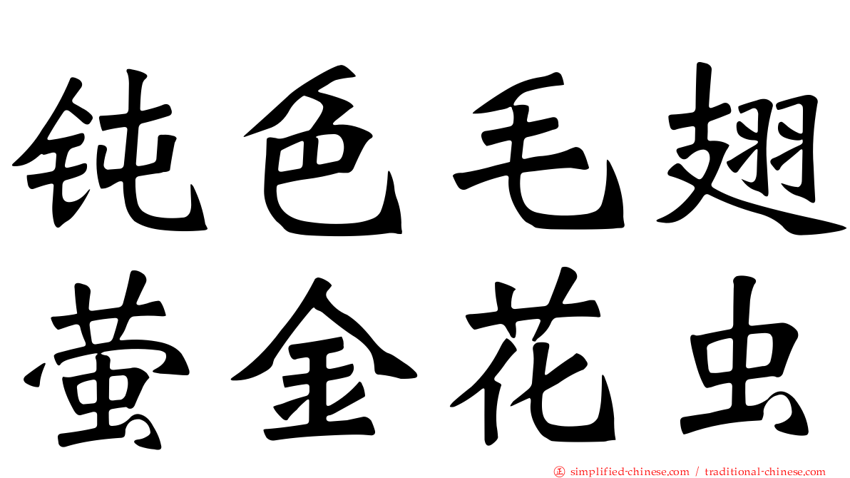 钝色毛翅萤金花虫